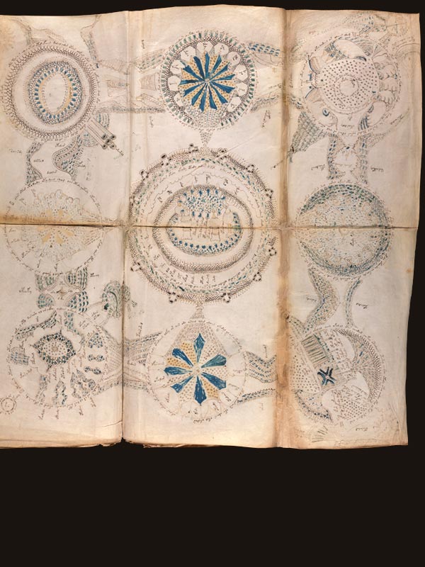 Rosetones-del-Voynich