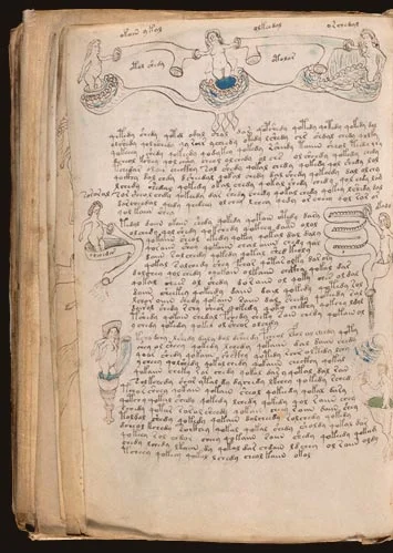 Secci&oacute;n biol&oacute;gica